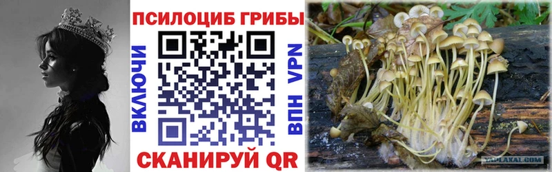 kraken маркетплейс Онега Псилоцибиновые грибы ЛСД купить закладку